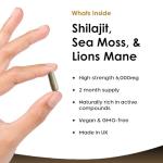 Shilajit Sea Moss & Lion's Mane Capsules 120ct