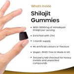 Shilajit Gummies with Zinc & Vitamin B6 3000mg