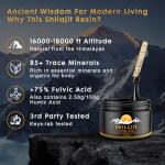 Pure Himalayan Shilajit Resin 600mg for Energy