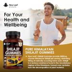 Shilajit Gummies with Zinc & Vitamin B6 3000mg