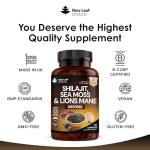 Shilajit Sea Moss & Lion's Mane Capsules 120ct