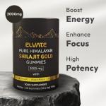 Pure Himalayan Gold Shilajit Gummies – Energy Support