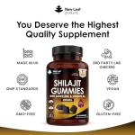 Shilajit Gummies with Zinc & Vitamin B6 3000mg