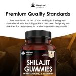 Shilajit Gummies with Zinc & Vitamin B6 3000mg