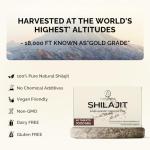 AureaSalus Shilajit Tablets 60 Count, 30,000mg