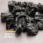 High Strength Himalayan Shilajit Capsules, 90 Vegan