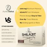 AureaSalus Shilajit Tablets 60 Count, 30,000mg
