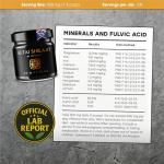 Pure Gold Grade Shilajit Resin - 50g