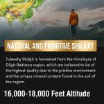 Pure Himalayan Shilajit Resin with Fulvic Acid