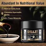 Gold Standard Himalayan Shilajit Resin - 600mg