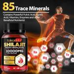 Pure Himalayan Shilajit Capsules with 85+ Minerals