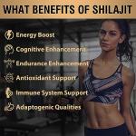 Gold Standard Himalayan Shilajit Resin - 600mg