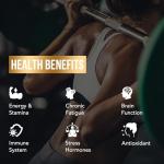 Pure Himalayan Shilajit Resin with Fulvic Acid