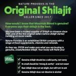 Mountain Blood Shilajit Resin - Mineral-Rich Energy Boost