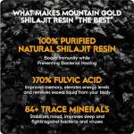 Mountain Gold Shilajit - Pure Himalayan 600mg
