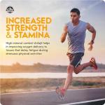 Mountain Gold Shilajit - Pure Himalayan 600mg