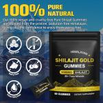 Himalayan Shilajit Gummies for Energy and Immunity