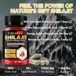 Pure Himalayan Shilajit Capsules with 85+ Minerals