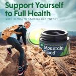 Mountain Blood Shilajit Resin - Mineral-Rich Energy Boost