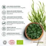 Organic Spirulina Tablets - 500G Superfood Supplement