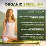 Organic Spirulina Powder 1kg for Immune Support