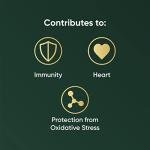 Naturya Organic Spirulina Powder – Superfood for Energy