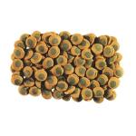 Tetra Pleco Spirulina Wafers for Bottom-Feeding Fish