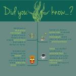 Vegavero Organic Spirulina 4000 mg - 300 Tablets