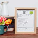 Aligma Organic Spirulina Powder - Immune Boosting Super Greens