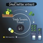 Tribulus Terrestris High Strength Supplement - 120 Vegan Capsules