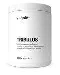 Vilgain Tribulus Extract for Energy and Vitality