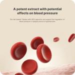 Vilgain Tribulus Extract for Energy and Vitality