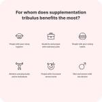 Vilgain Tribulus Extract for Energy and Vitality