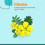 Himalaya Tribulus Terrestris Testosterone Booster - 60 Veg Capsules