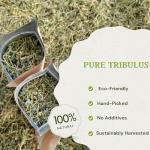 Tribulus Terrestris Powder for Male Vitality