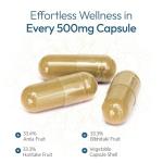 Organic Triphala Capsules for Digestion and Immunity