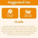 Organic Turmeric Formula with Curcumin - 90 Capsules