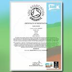 Ausha Organic Triphala Powder for Gut Health