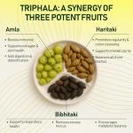 Organic Triphala Powder Capsules for Digestion Support
