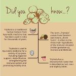 Organic Triphala Powder 1300 mg - 180 Capsules