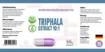 Hepatica Triphala Extract Capsules for Gut Health