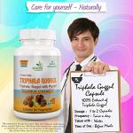 Triphala Guggul Herbal Supplement Capsules