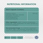 Triphala Capsules for Gut Health and Digestion