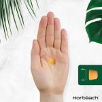 Turmeric Gummies with Ginger and Black Pepper, 60 Count