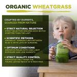 Organic Wheatgrass Powder 200g with High Chlorophyll