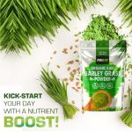 Organic Wheatgrass Powder 250g – Vegan Superfood