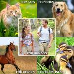 Brewer's Yeast Powder – Rich in B-Vitamins