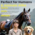 Brewers Yeast Powder 1KG for Pets and Horses