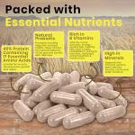 FoodPURA 90 Pure Brewers Yeast Capsules 600mg