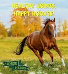 Natural Brewers Yeast for Horses 1kg